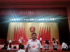 PINNACLE·(china)官网